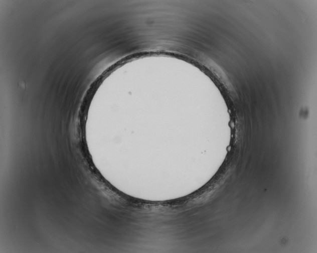 X0000101700876200808071156