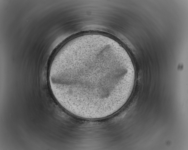 X0000101700877200808071156