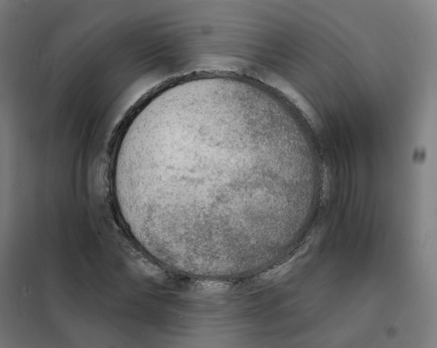 X0000101700878200808071156