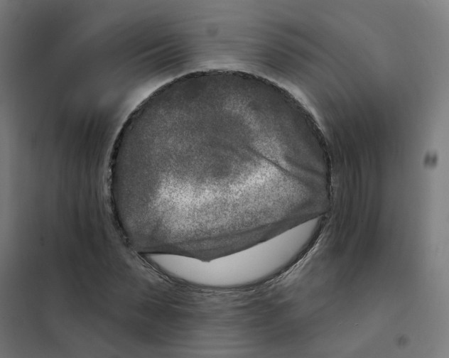 X0000101700879200808071156