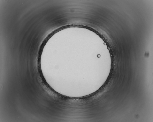 X0000101700880200808071156