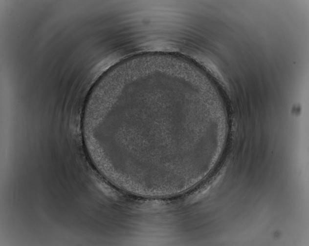 X0000101700881200808071156