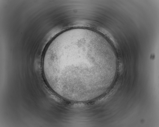 X0000101700882200808071156