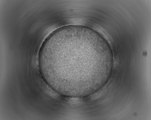 X0000101700883200808071156