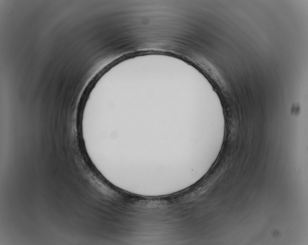 X0000101700884200808071156