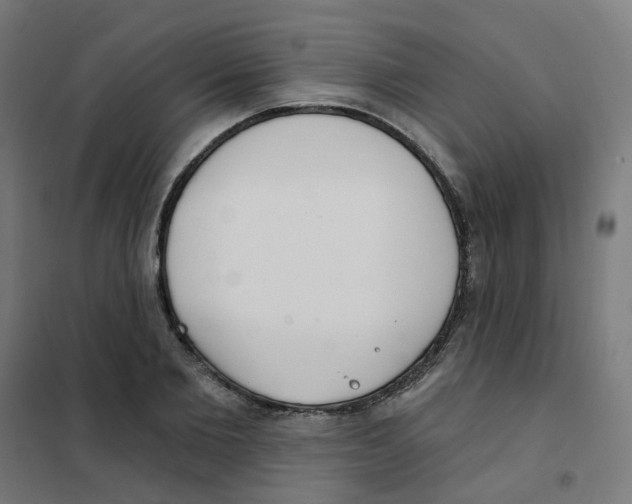 X0000101700885200808071156