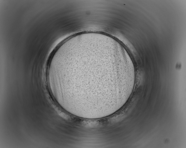 X0000101700886200808071156