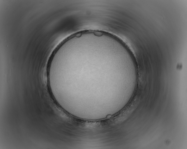 X0000101700887200808071156