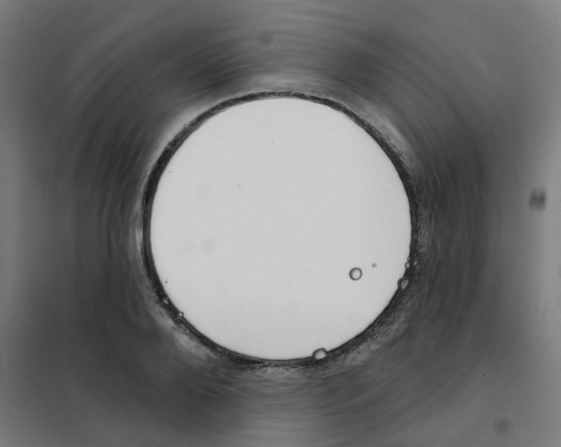 X0000101700888200808071156
