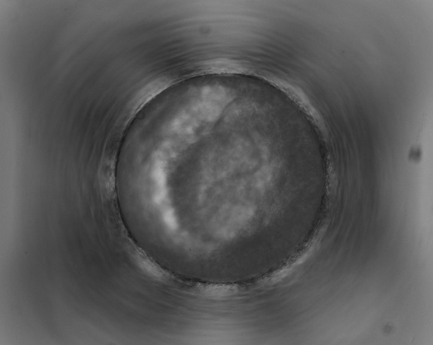 X0000101700889200808071156