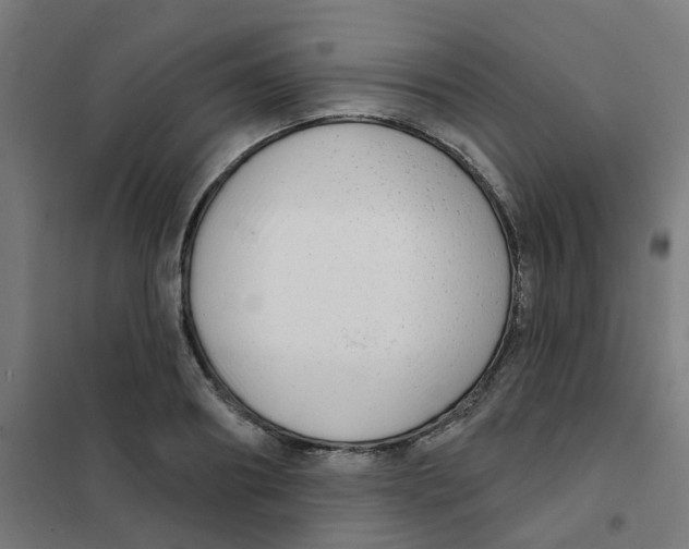 X0000101700890200808071156