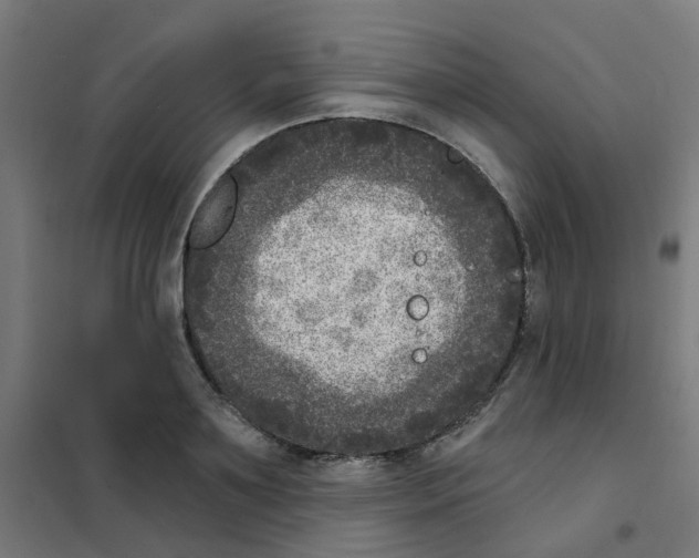 X0000101700891200808071156