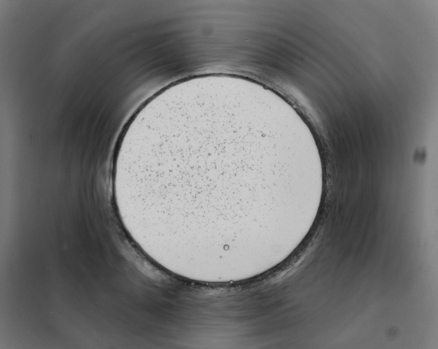 X0000101700892200808071156