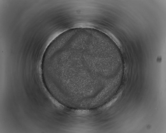 X0000101700893200808071156