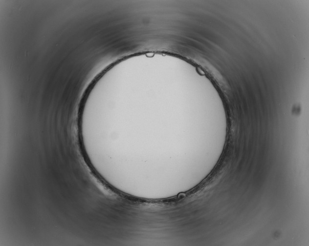 X0000101700894200808071156
