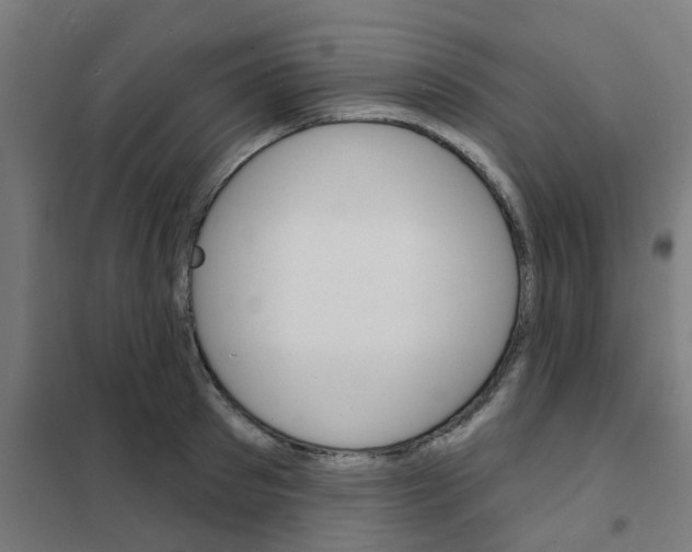 X0000101700897200808071156