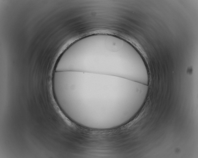 X0000101700898200808071156