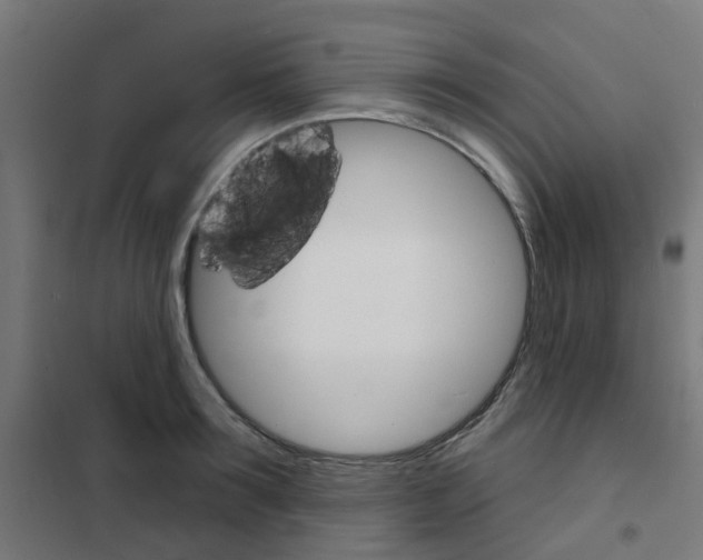 X0000101700899200808071156