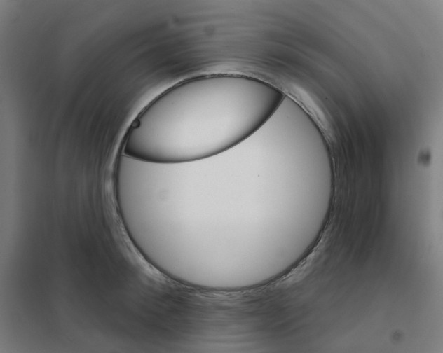X0000101700900200808071156