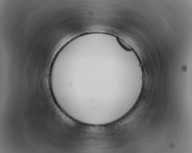 X0000101700901200808071156