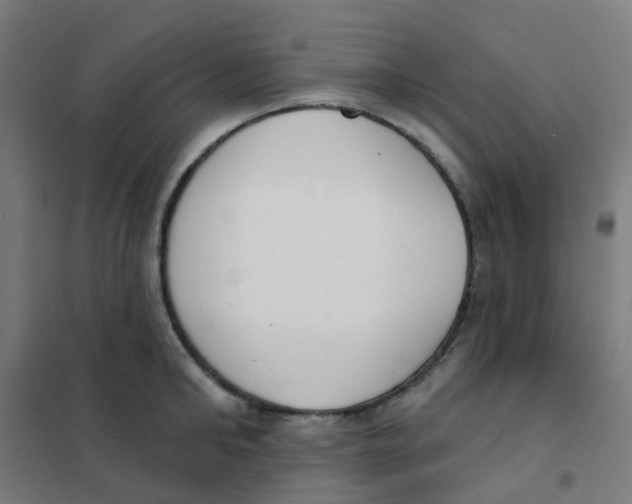 X0000101700902200808071156