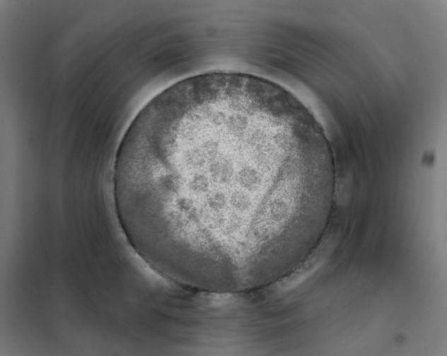 X0000101700903200808071156