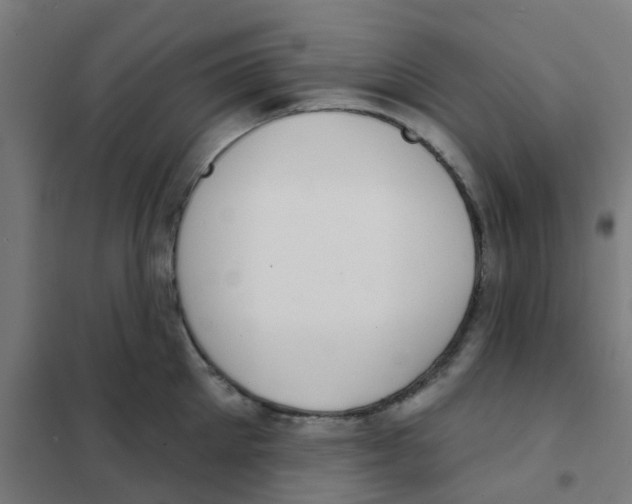 X0000101700905200808071156