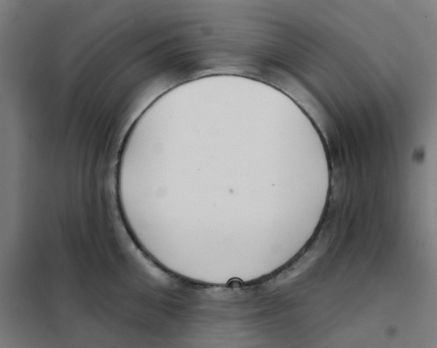X0000101700906200808071156