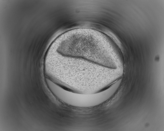 X0000101700907200808071156