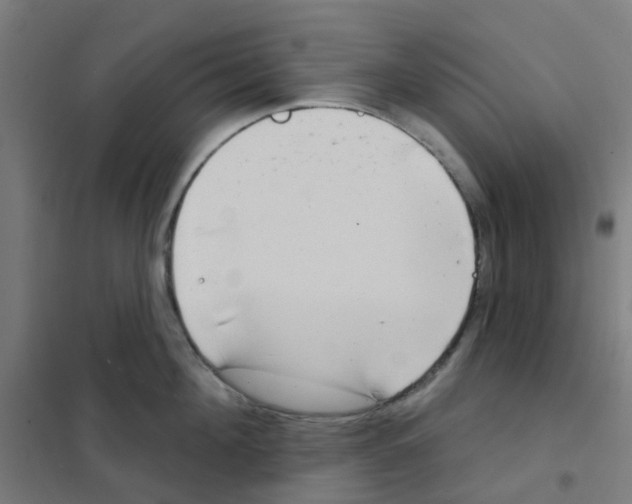X0000101700908200808071156