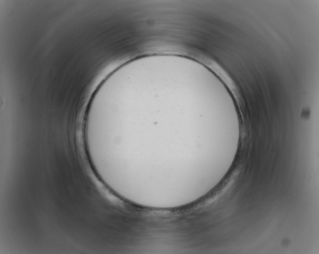 X0000101700909200808071156