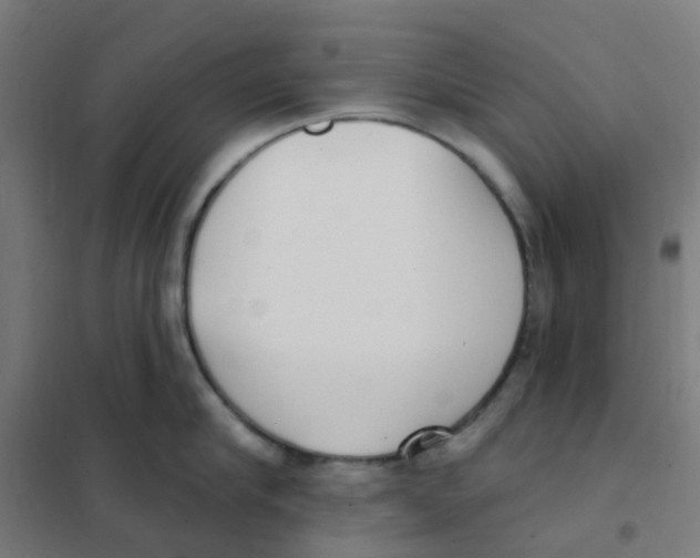 X0000101700910200808071156