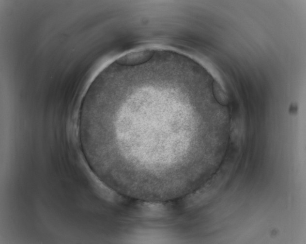 X0000101700911200808071156