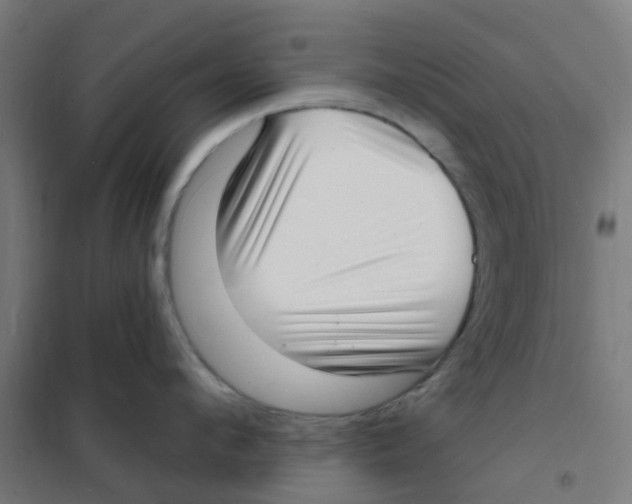 X0000101700912200808071156