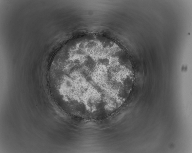 X0000101700913200808071155