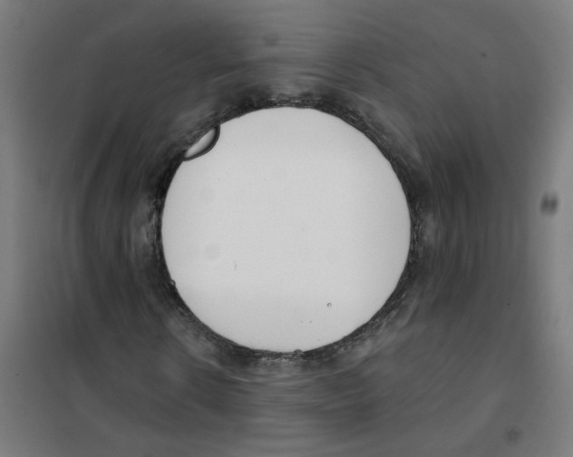 X0000101700914200808071155