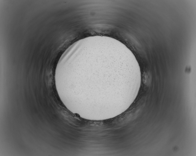 X0000101700915200808071155