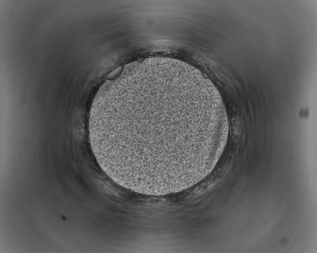 X0000101700916200808071155