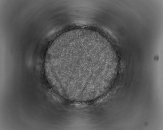 X0000101700917200808071155