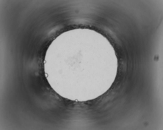 X0000101700918200808071155