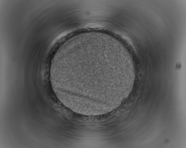 X0000101700920200808071155
