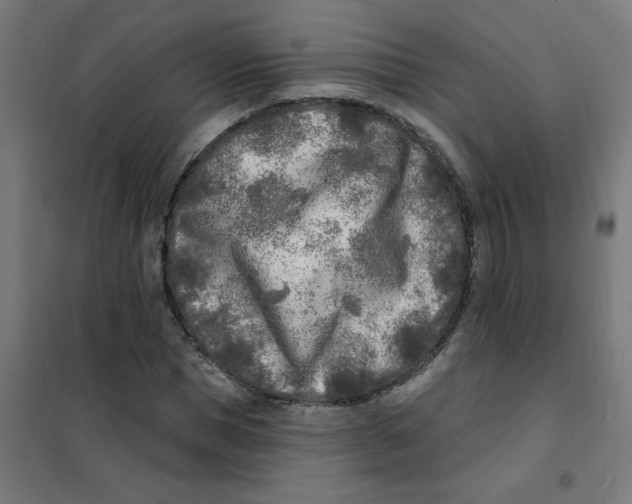 X0000101700921200808071155