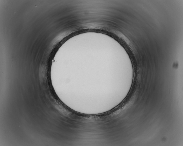 X0000101700922200808071155