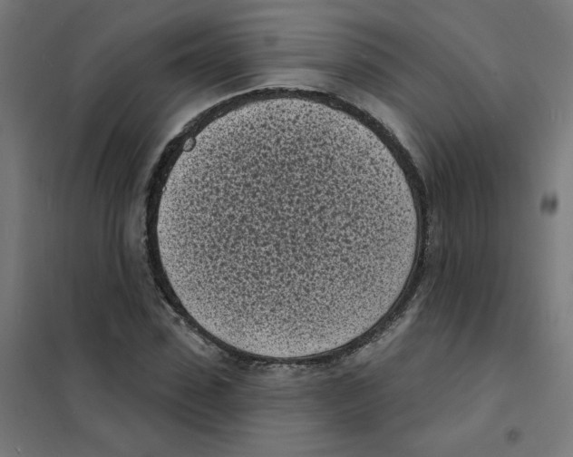 X0000101700923200808071155