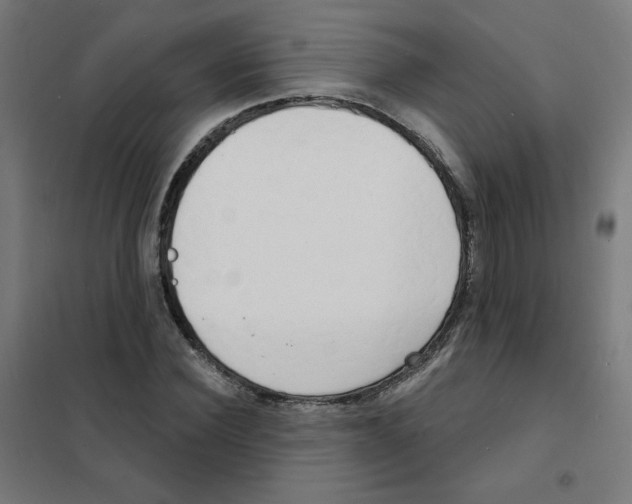 X0000101700924200808071155