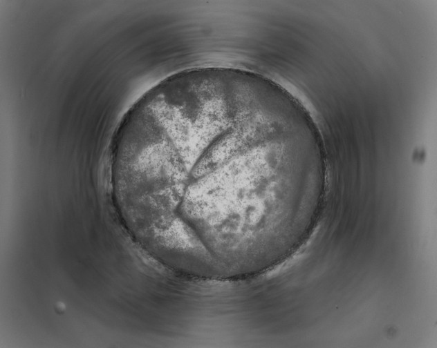 X0000101700925200808071155
