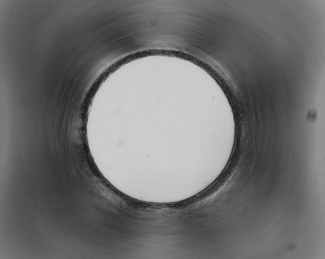 X0000101700926200808071155