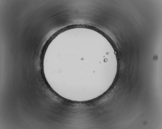 X0000101700927200808071155