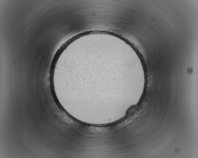 X0000101700928200808071155
