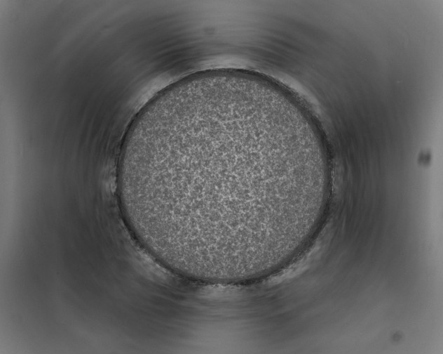 X0000101700929200808071155